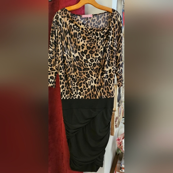 Leopard print and black side ruched mini dess - Picture 1 of 5